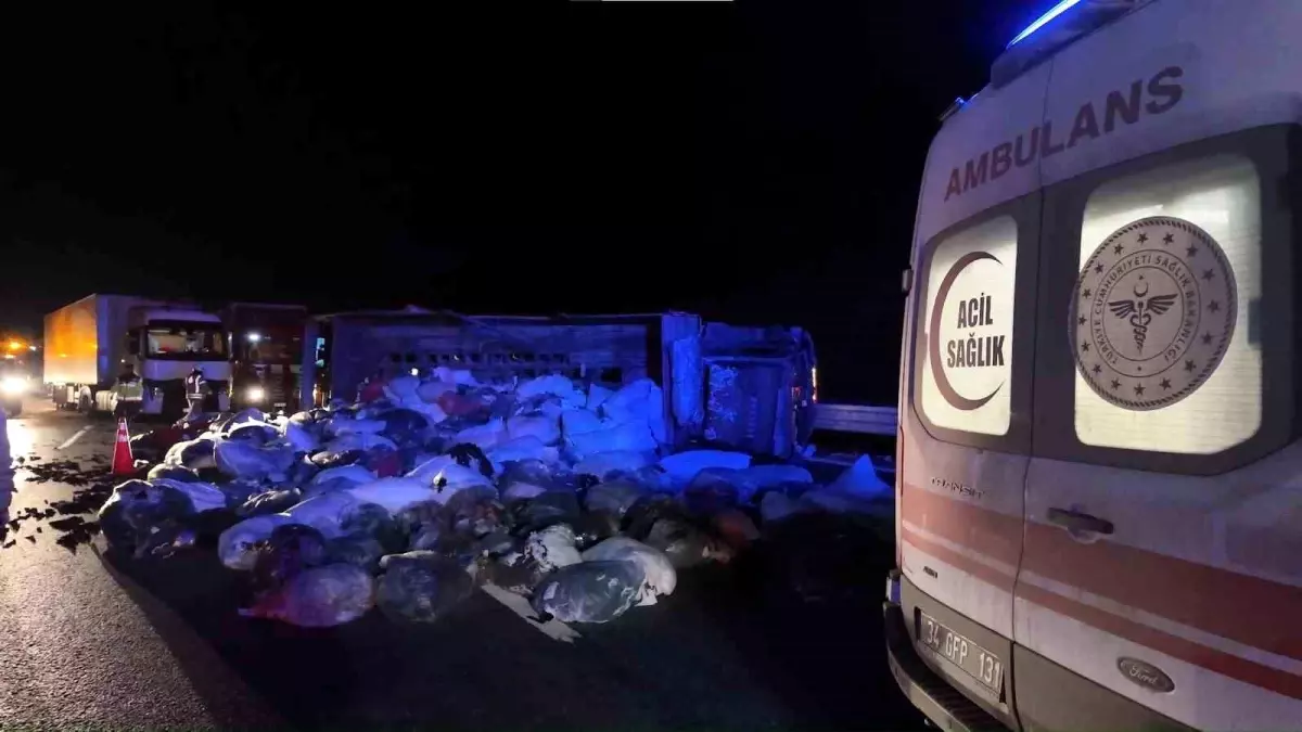 Kuzey Marmara Otoyolu\'nda Kaza: Kamyonet Devrildi