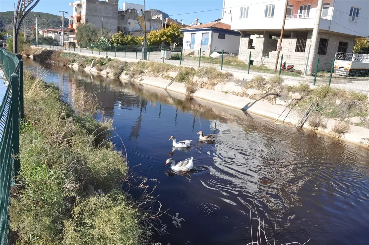 Göksu Nehri\'nde Su Renk Değişimi İncelemesi