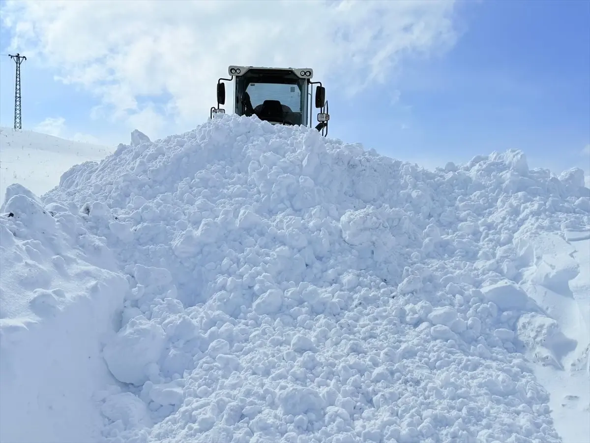 Karla Mücadele ile Hastaya Ulaşım