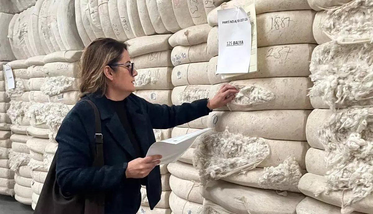 Söke\'de Pamuk İhracat Denetimi