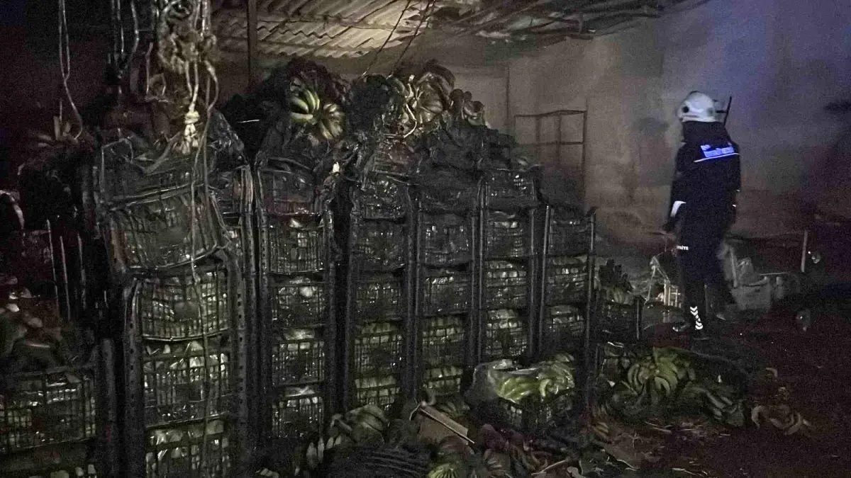 Alanya\'da Muz Sarartma Deposunda Yangın