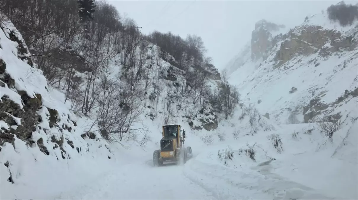 Artvin\'de çığ düştü: 3 çoban çığ altında kaldı