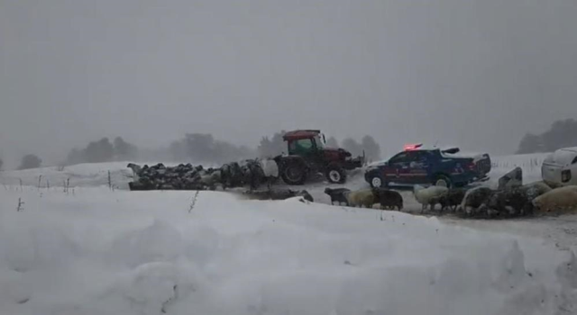 Artvin'deki çığ felaketinden acı haber geldi