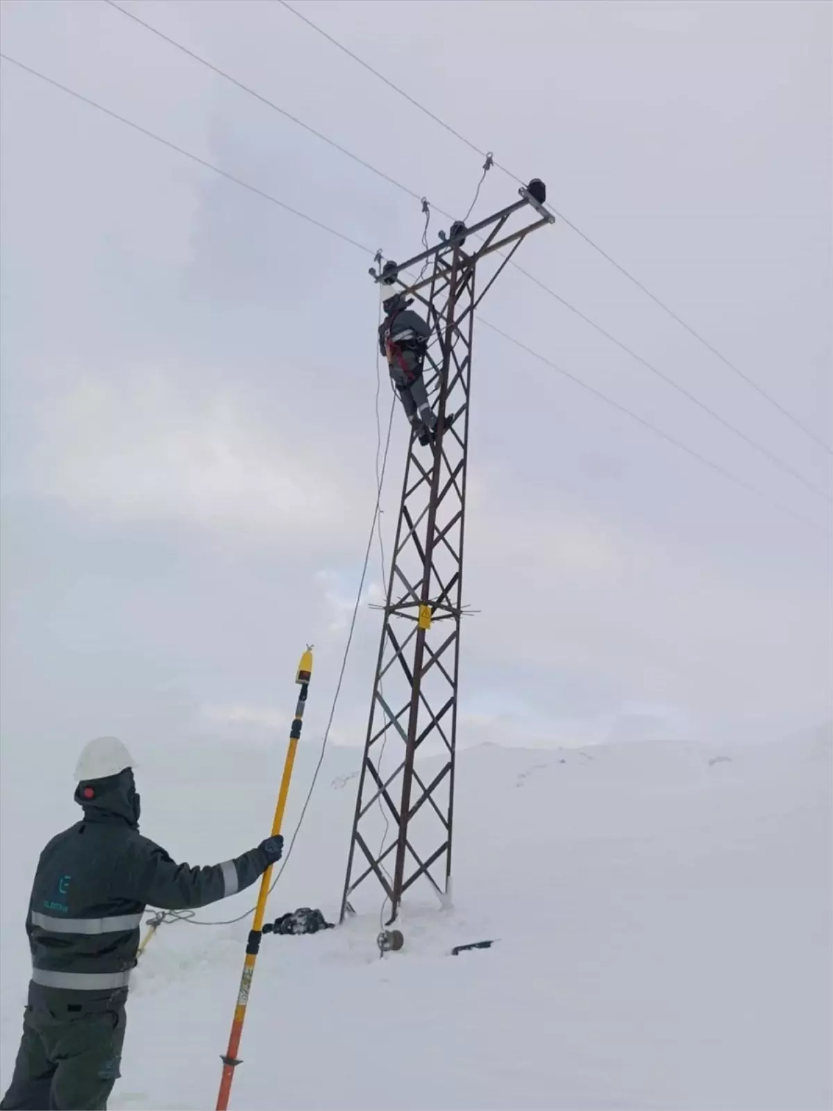 Dicle Elektrik Karla Mücadele Ediyor