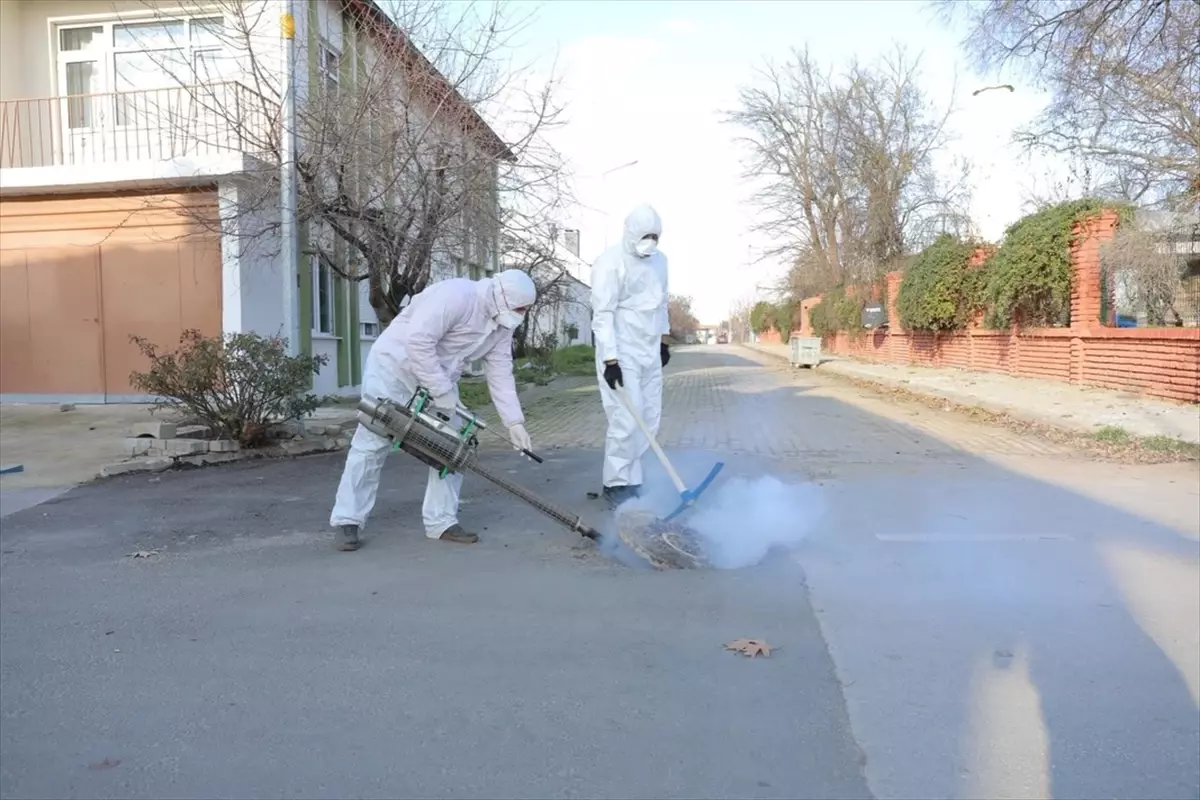 Edirne\'de Haşereyle Mücadele Başlatıldı