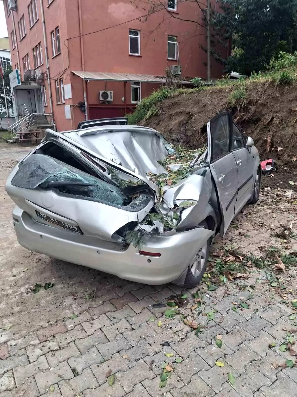 Giresun\'da devrilen ağaç bir aracı kullanılamaz hale getirdi