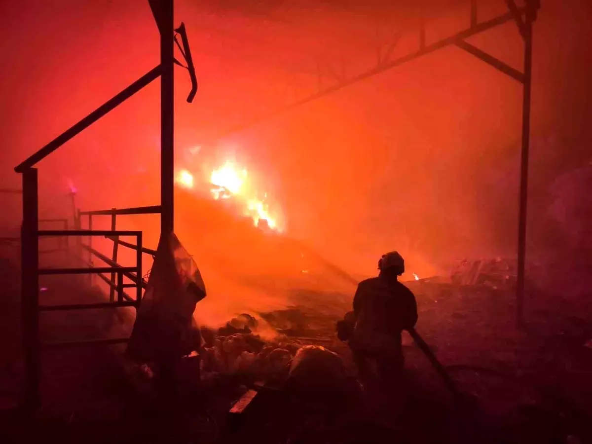 Hatay\'da Yangın Kontrol Altında