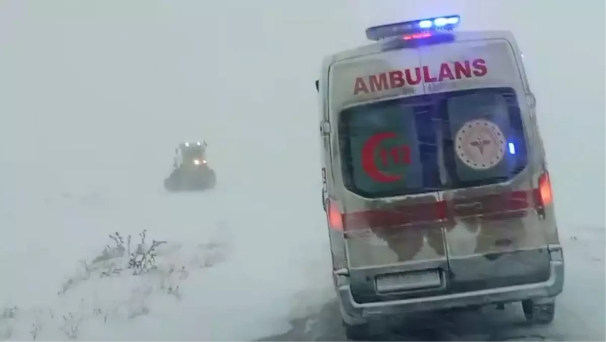 Hamile Kadın İçin Kurtarma Seferberliği