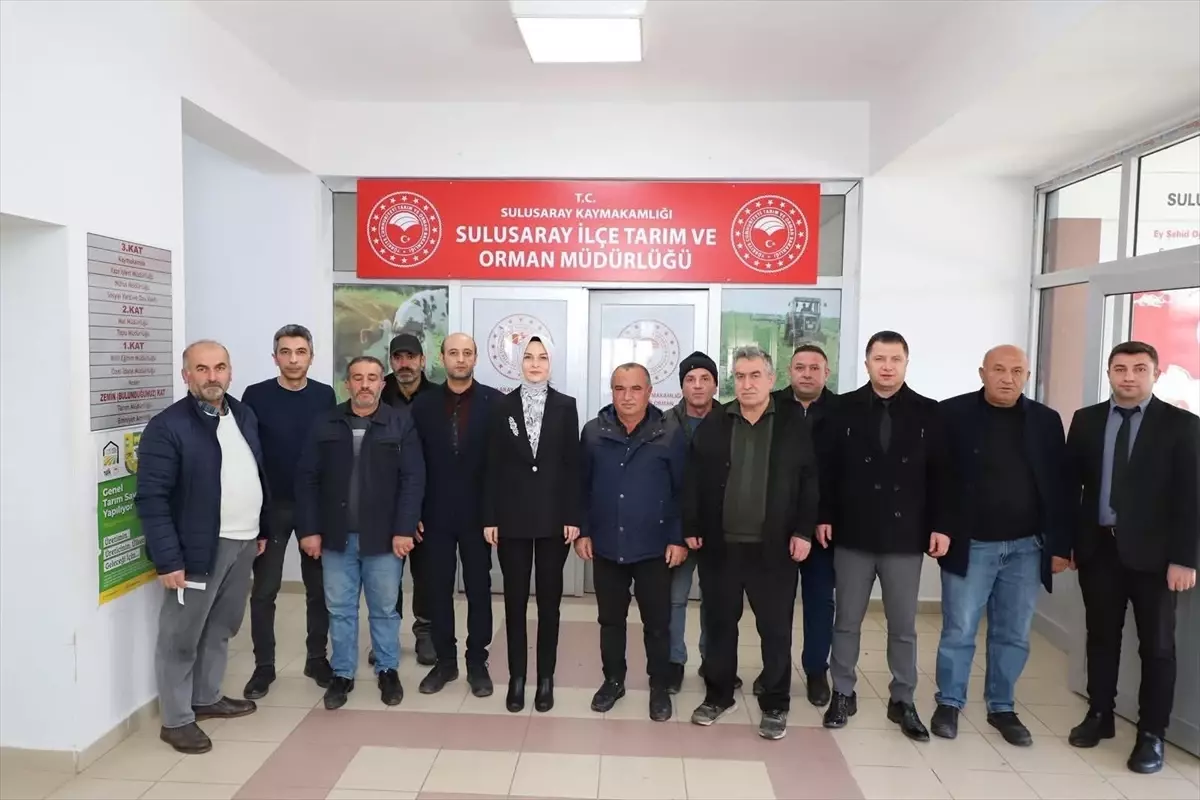 Sulusaray\'da Nohut Tohumu Dağıtımı