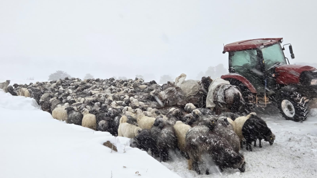 Artvin'de çığın altında kalan çobanlardan birinin daha cansız bedenine ulaşıldı
