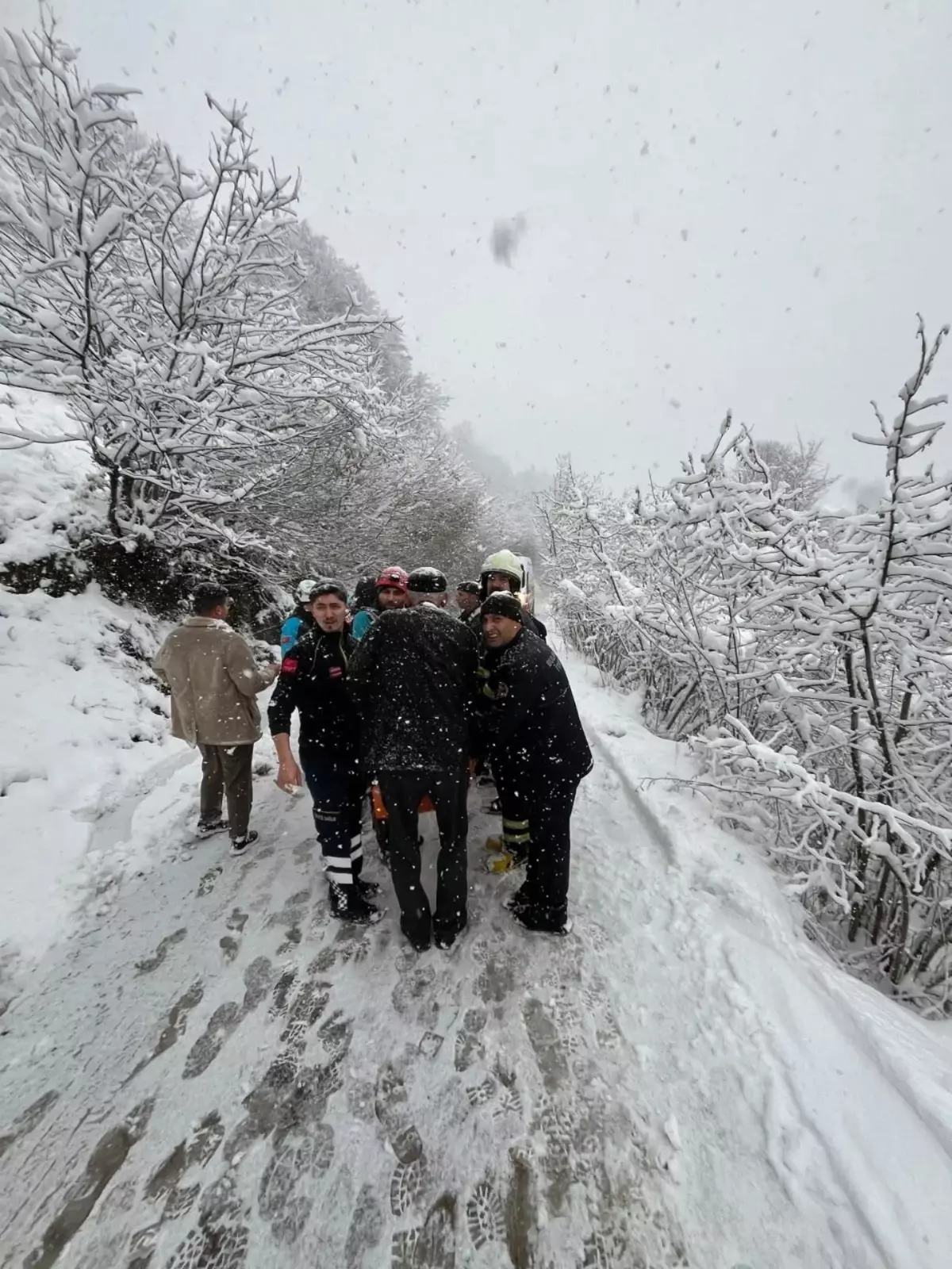 Giresun\'da Uçurumda Kaza: 6 Yaralı