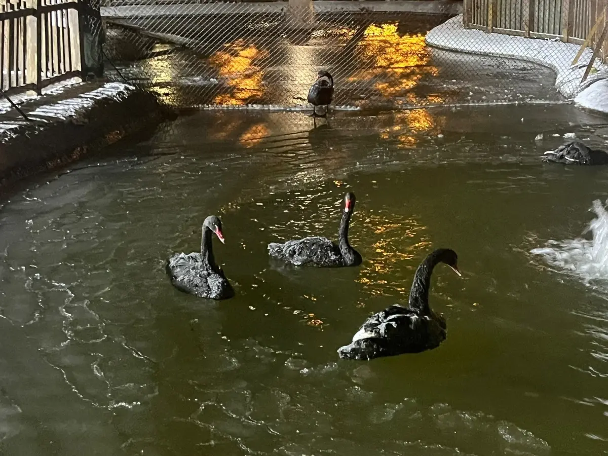 Ankara'da Hava Eksi 11 Derece