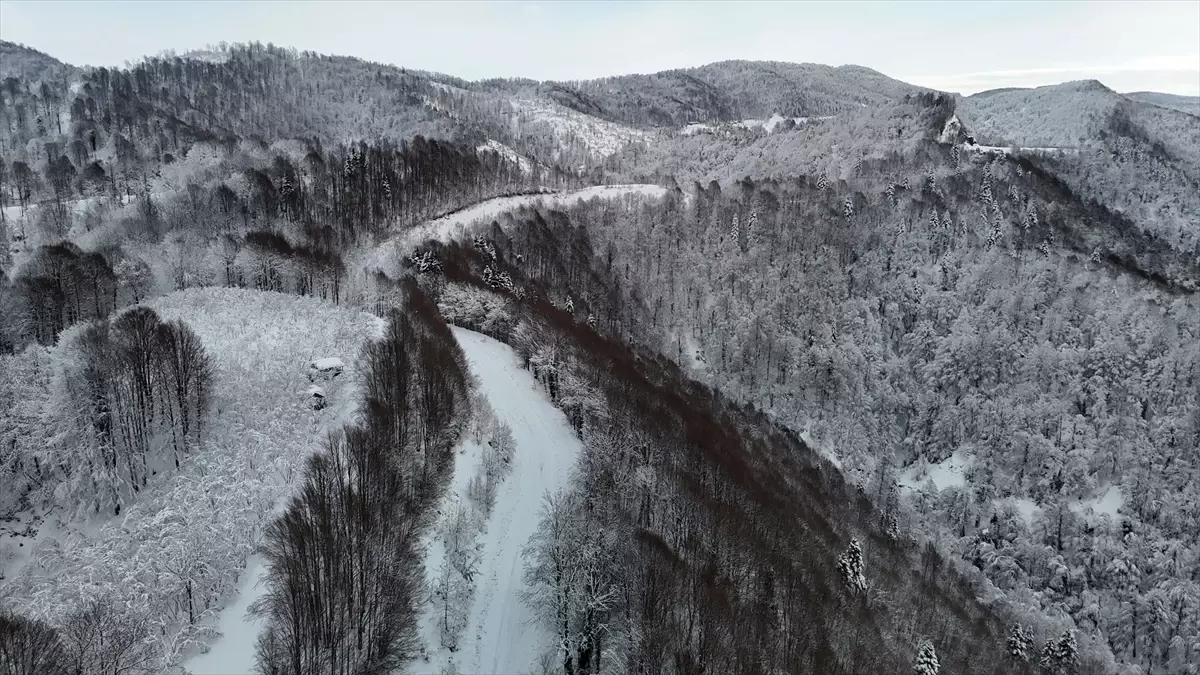 Çam Dağı\'nda Kış Manzarası