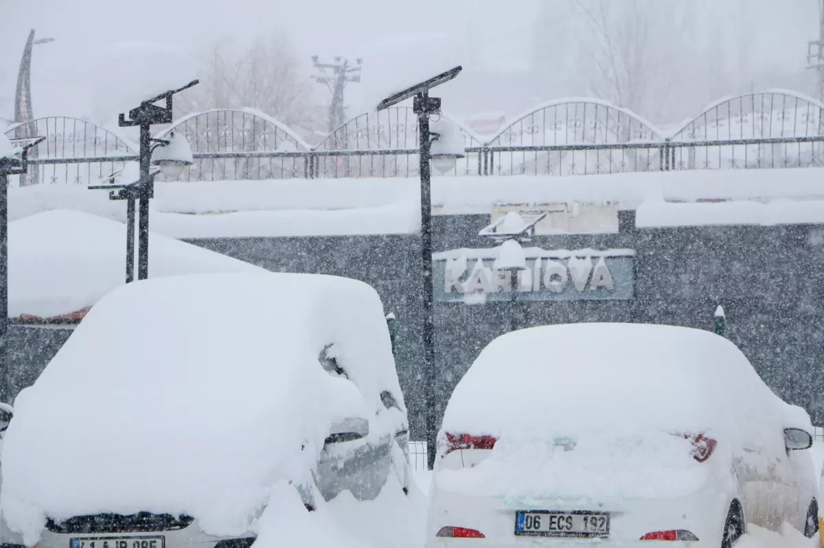 Bingöl\'de Karla Mücadele Devam Ediyor