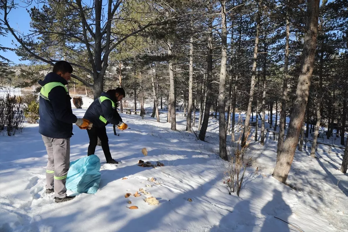 Çubuk\'ta Yaban Hayvanlarına Yem Desteği
