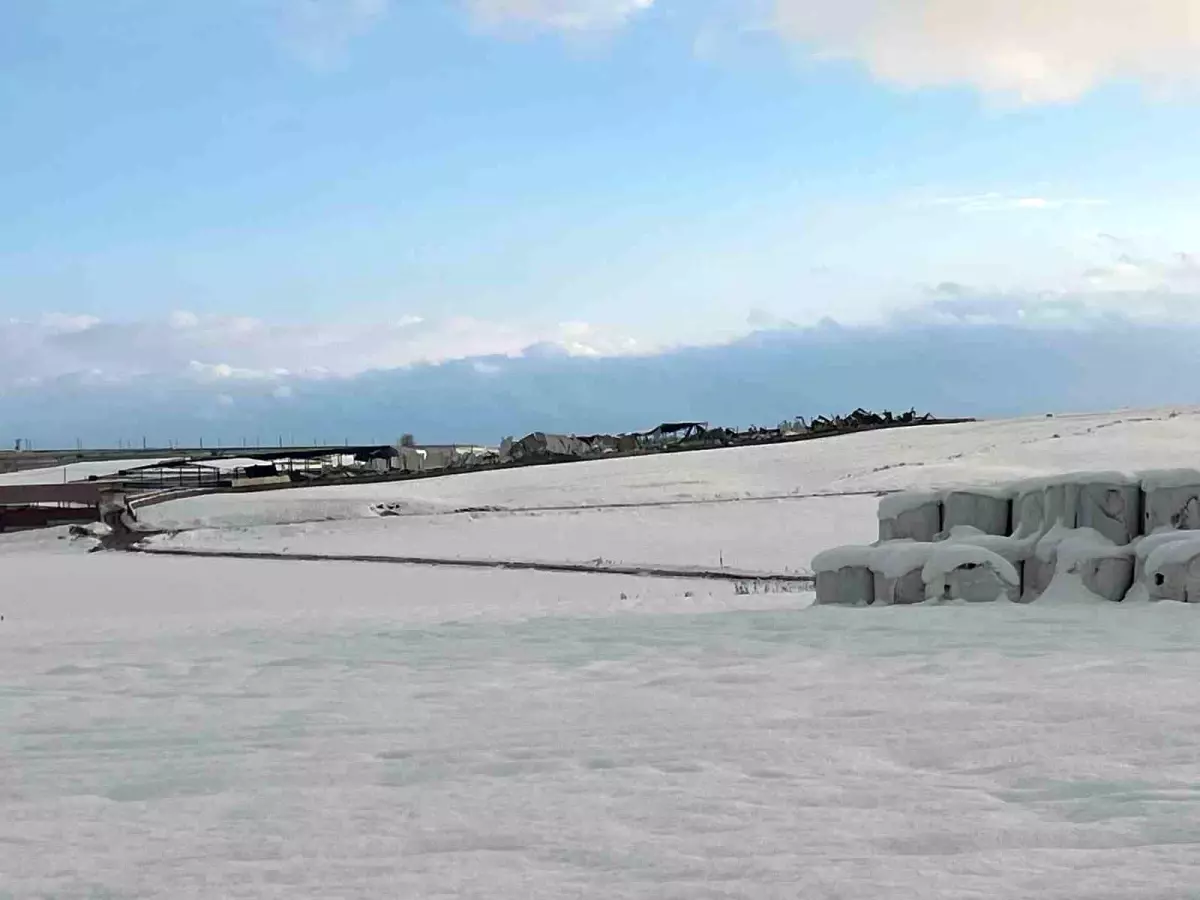 Bismil\'de Kar Yağışı 12 Fabrikanın Çatısını Çöktürdü