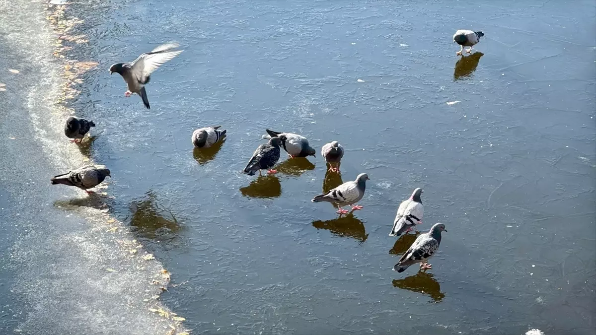 Eskişehir\'de Porsuk Çayı Buzla Kaplandı