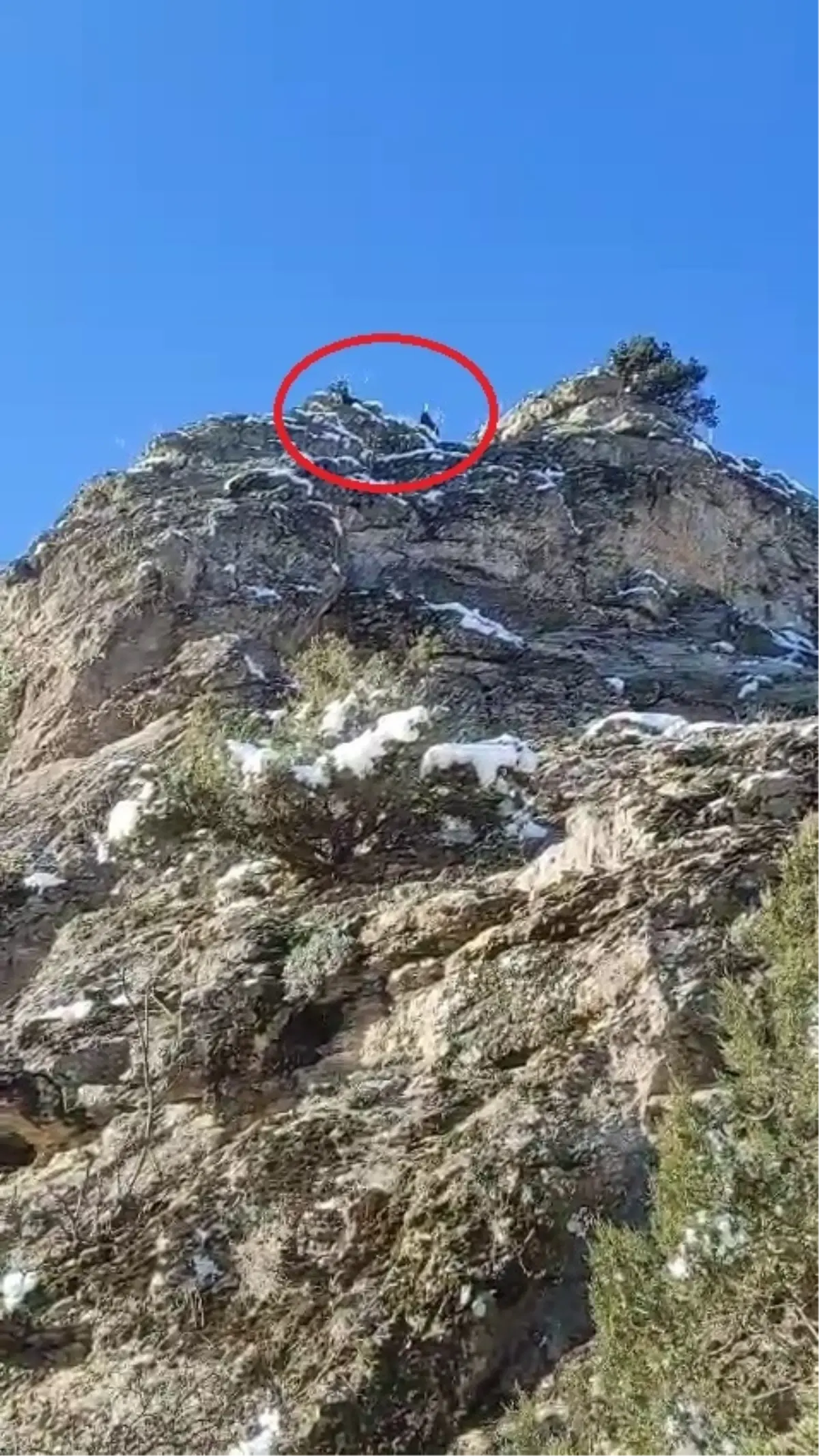 Dağda Mahsur Kalan 18 Keçi İçin Yardım Bekleniyor