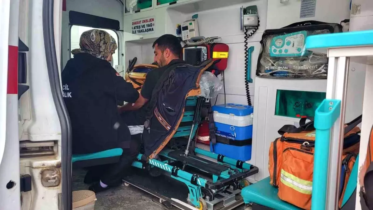 Siirt\'te Karla Mücadele ile Hastalara Acil Müdahale