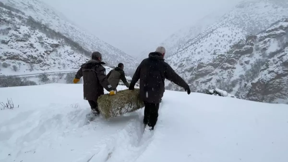 Yaban Hayvanlarına Yem Desteği