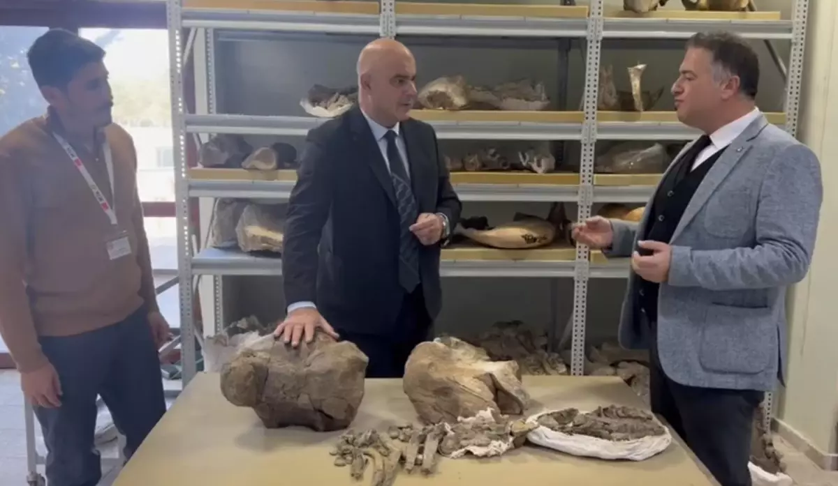 Dev Gergedan Fosili Tuzluca\'da Bulundu