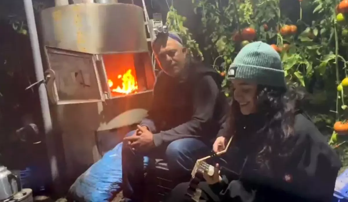 Serik\'te Don Nöbeti: Üreticiler Şarkılarla Mücadele Ediyor