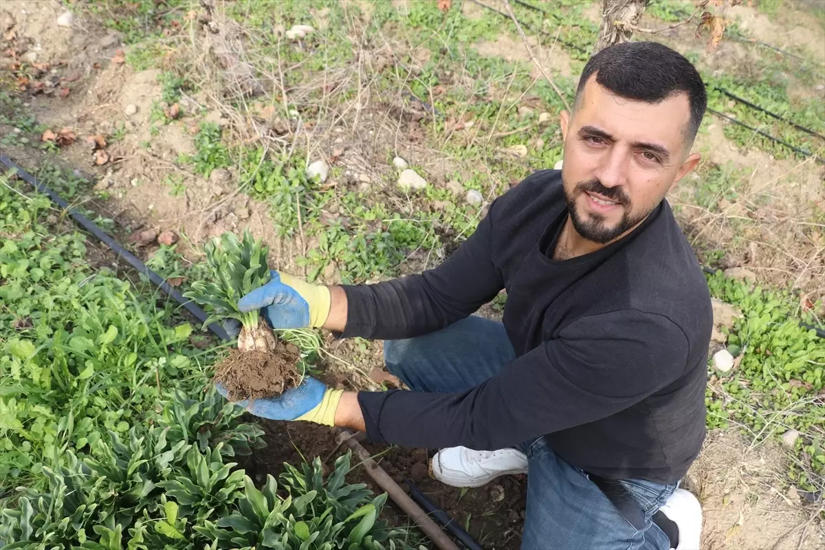 Kariyerini bıraktı, eşiyle birlikte girdiği tarlada hazineyi buldu