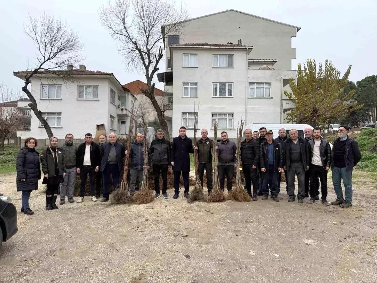 Osmaneli\'nde Meyve Fidanı Desteği