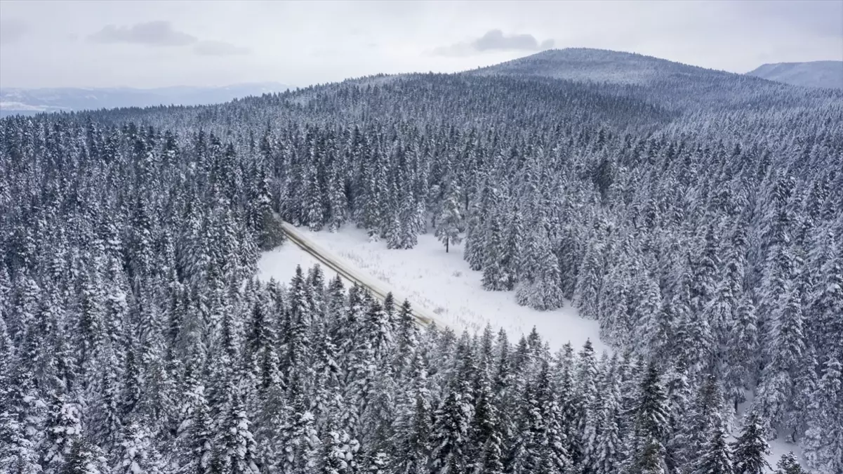 Bolu\'da Kar Yağışı ve Soğuk Hava Etkili