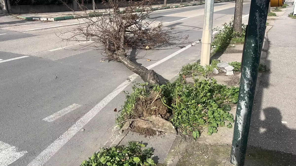 Bursa\'da Lodos Felaketi