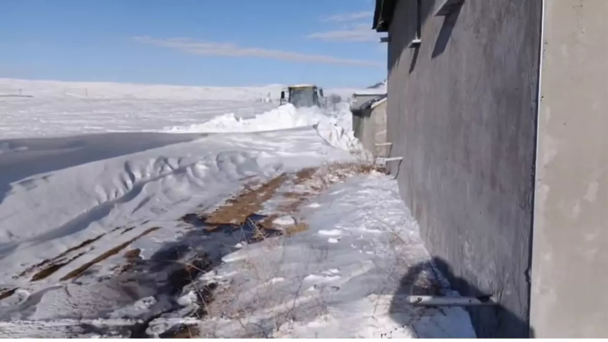 Karla Mücadele ile Hastaya Ulaşım