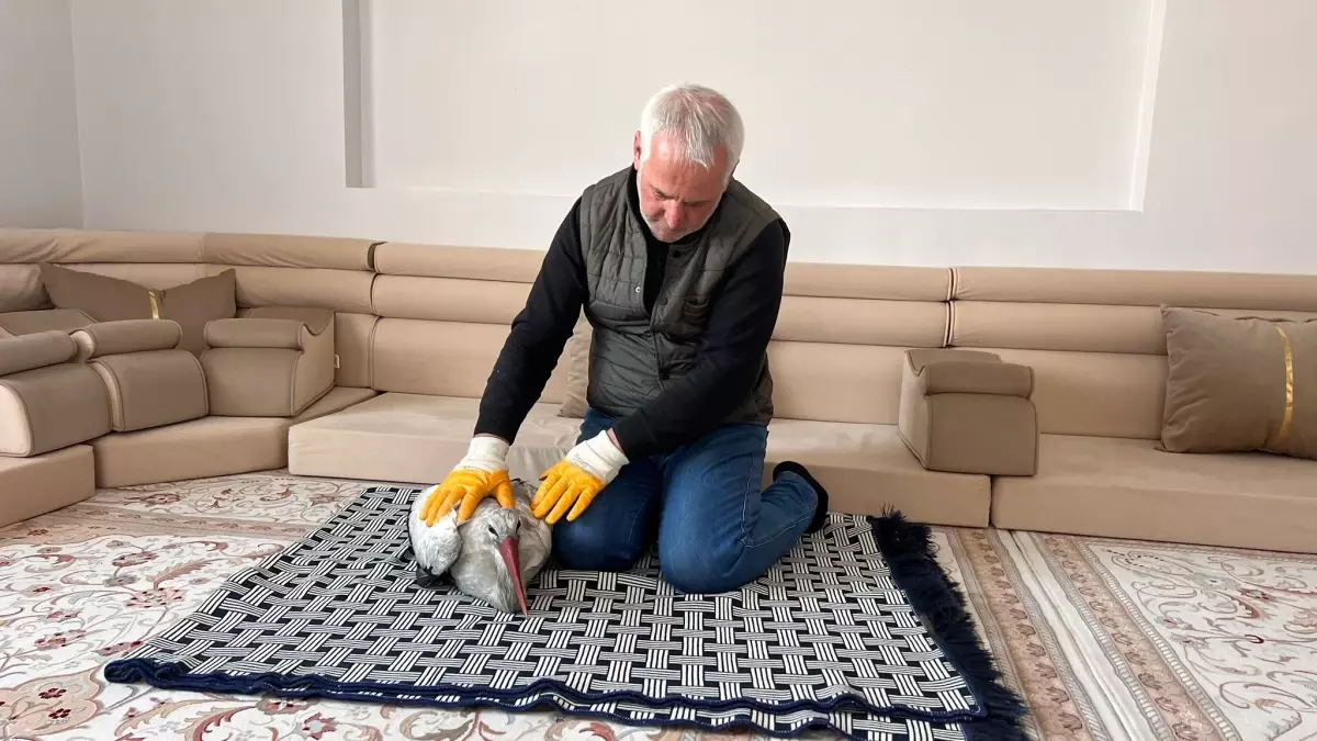 Donan Leyleği Kurtaran Adam