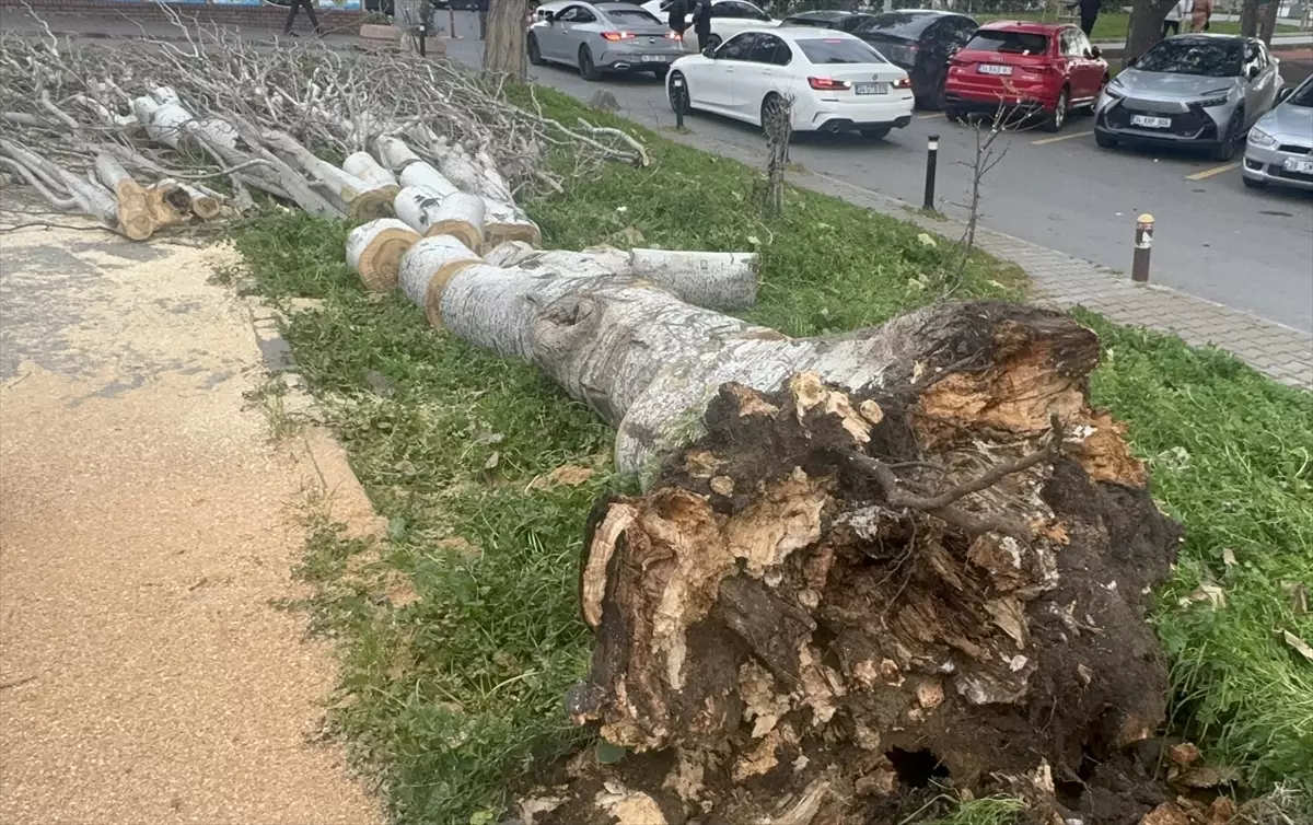 İstanbul\'da etkisini sürdüren şiddetli lodos hayatı olumsuz etkiliyor