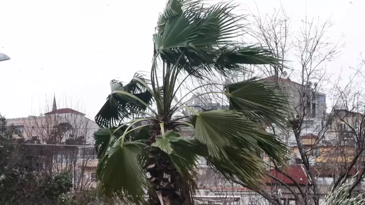 İstanbul\'da Lodos Uyarısı: Seferler İptal