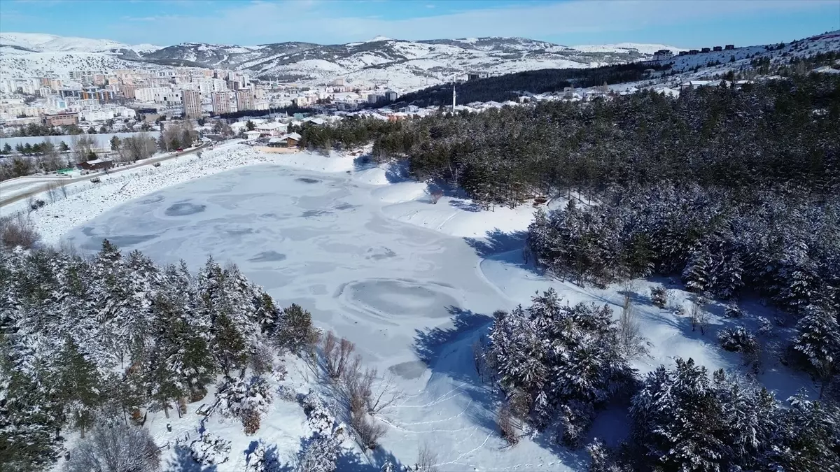 Yozgat Çamlığı Karla Kaplandı