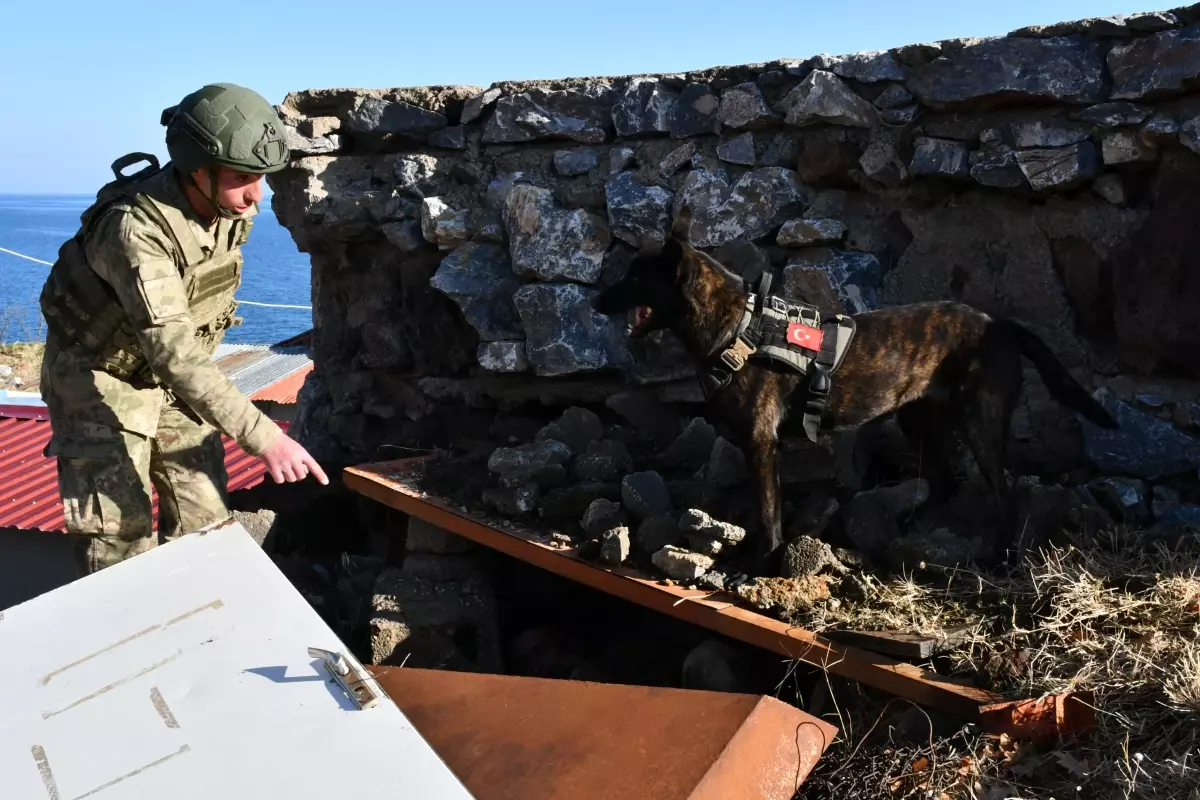Askeri Köpek Timlerinden Eğitim