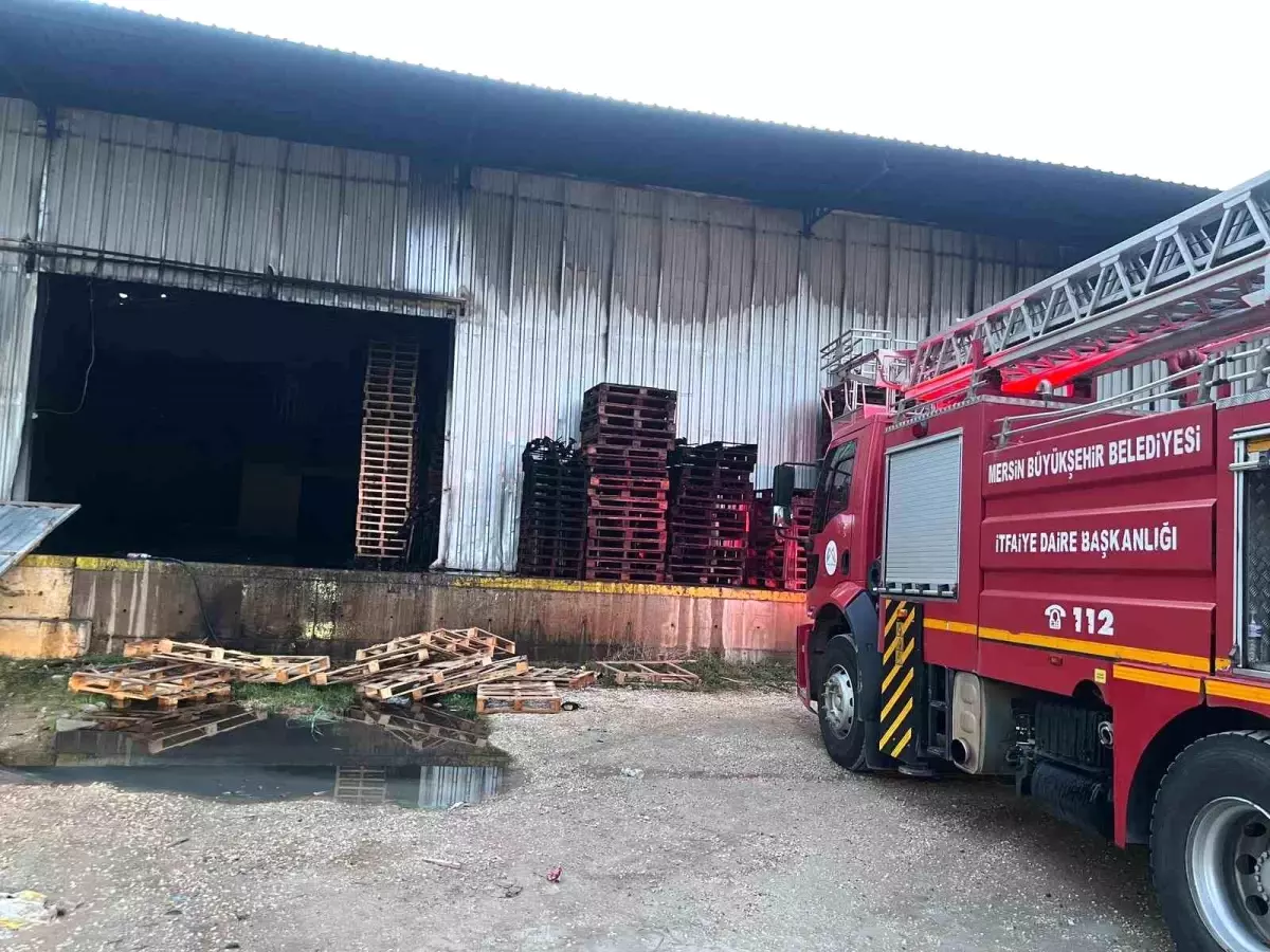 Narenciye fabrikasında yangın çıktı, çok sayıda ekip müdahale etti