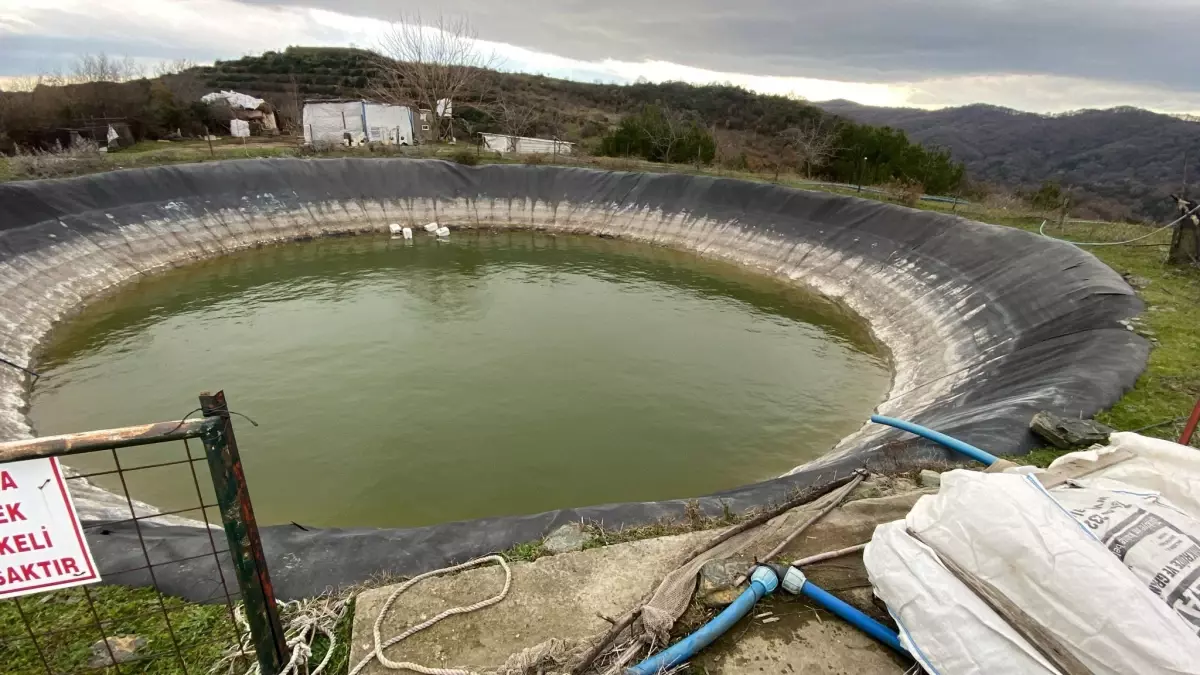 Elif Kumal İçin Umutlar Azalıyor