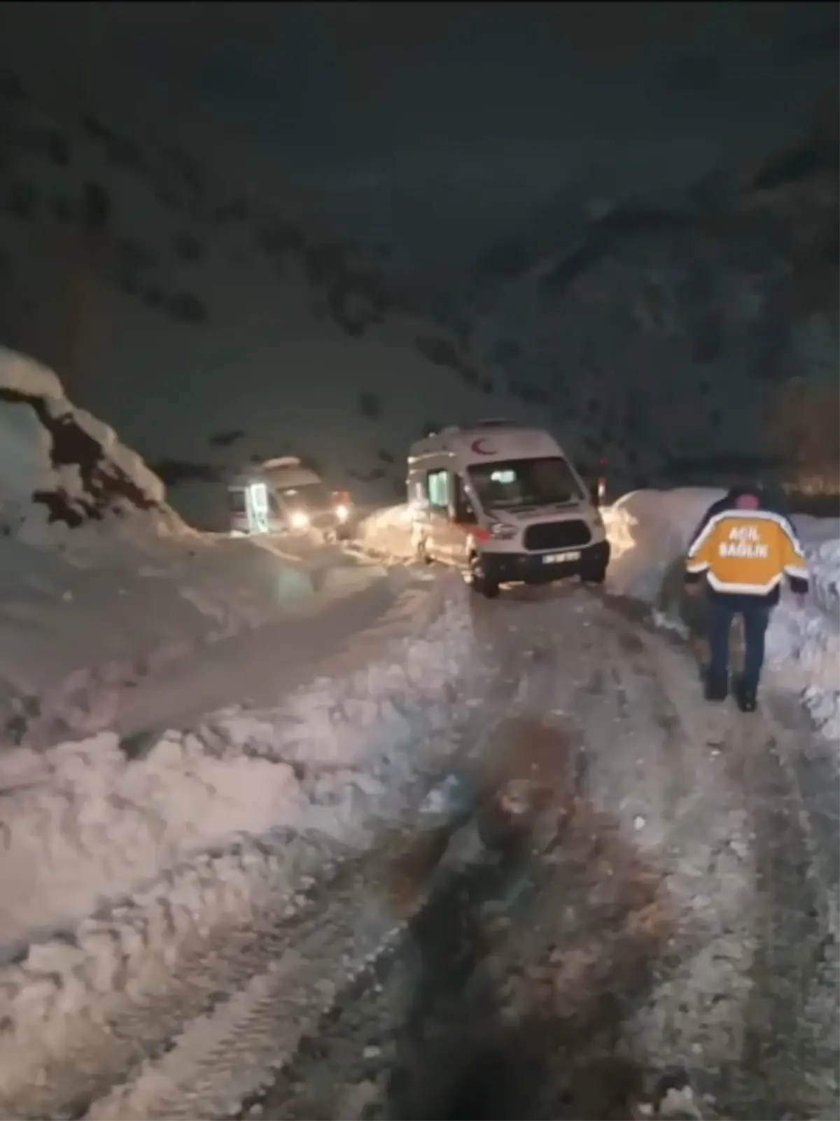 Karbonmonoksit Zehirlenmesi Vakası