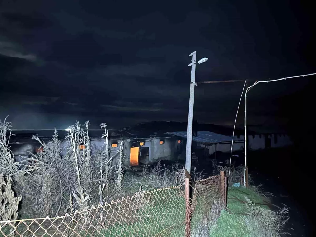 Uşak\'ta Tavuk Çiftliğinde Yangın