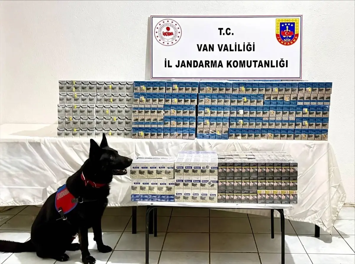 Erciş\'te 8 Bin Paket Kaçak Sigara Ele Geçirildi