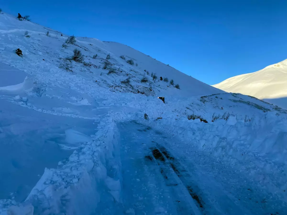 Ardanuç\'ta Çığ Faciası: 2 Ölü