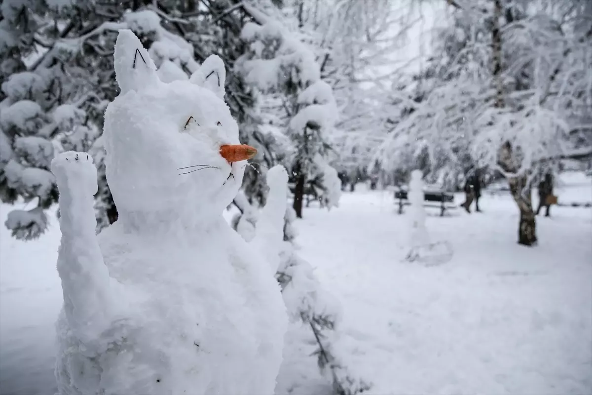 Saraybosna ve Belgrad\'ı Kar Beyaza Bürüdü