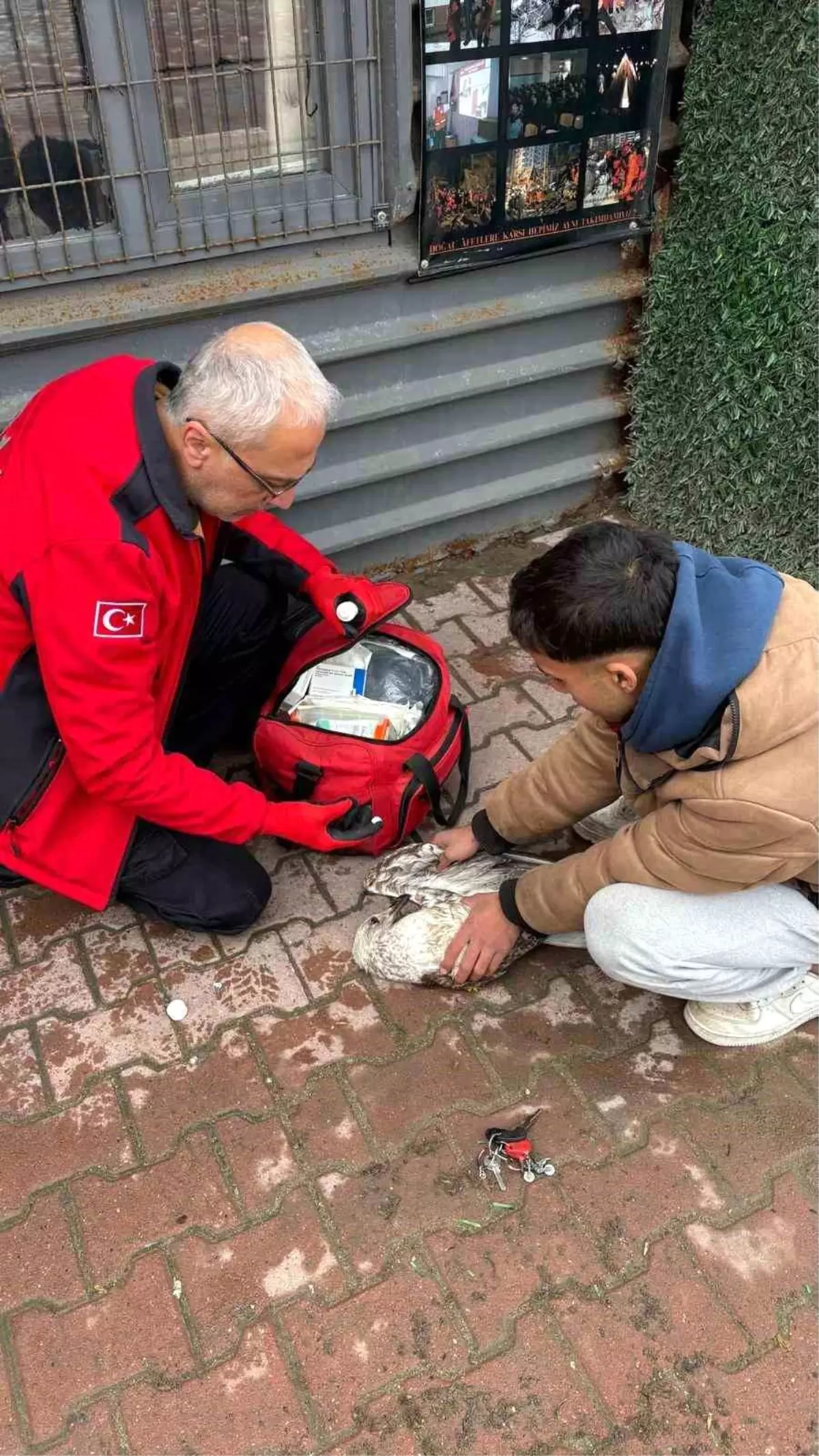 Mudanya\'da Martı Kurtarıldı