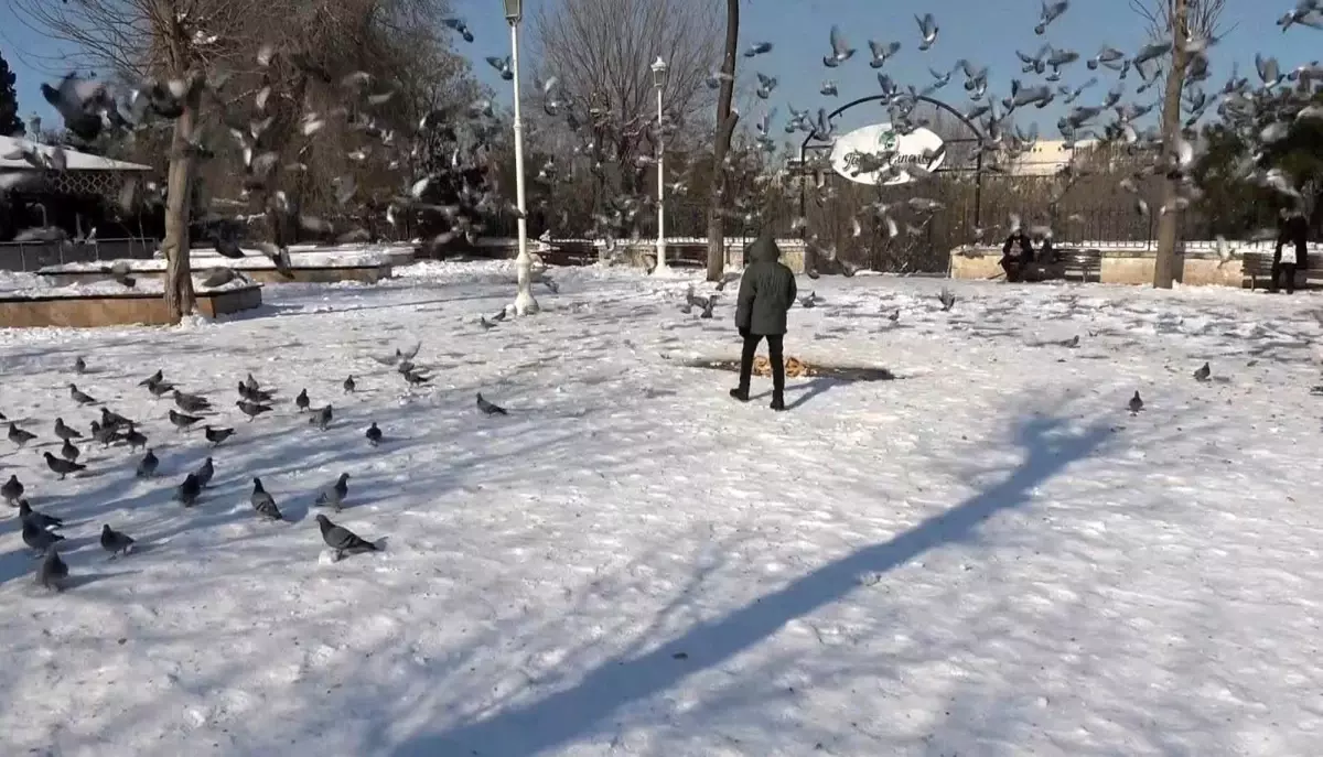 Gaziantep\'te Kar Yağışı Sonrası Güneşli Hava