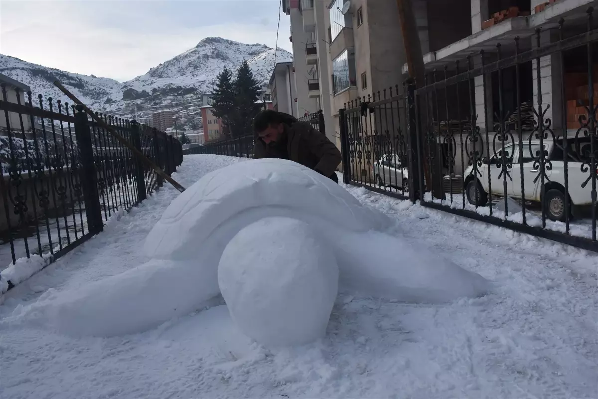 Gümüşhane\'de tır şoförü kardan kaplumbağa yaptı