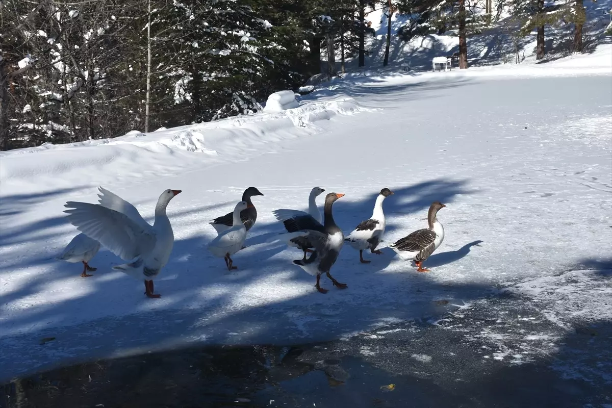 Karla Mücadele: 99 Köy Yolu Kapandı