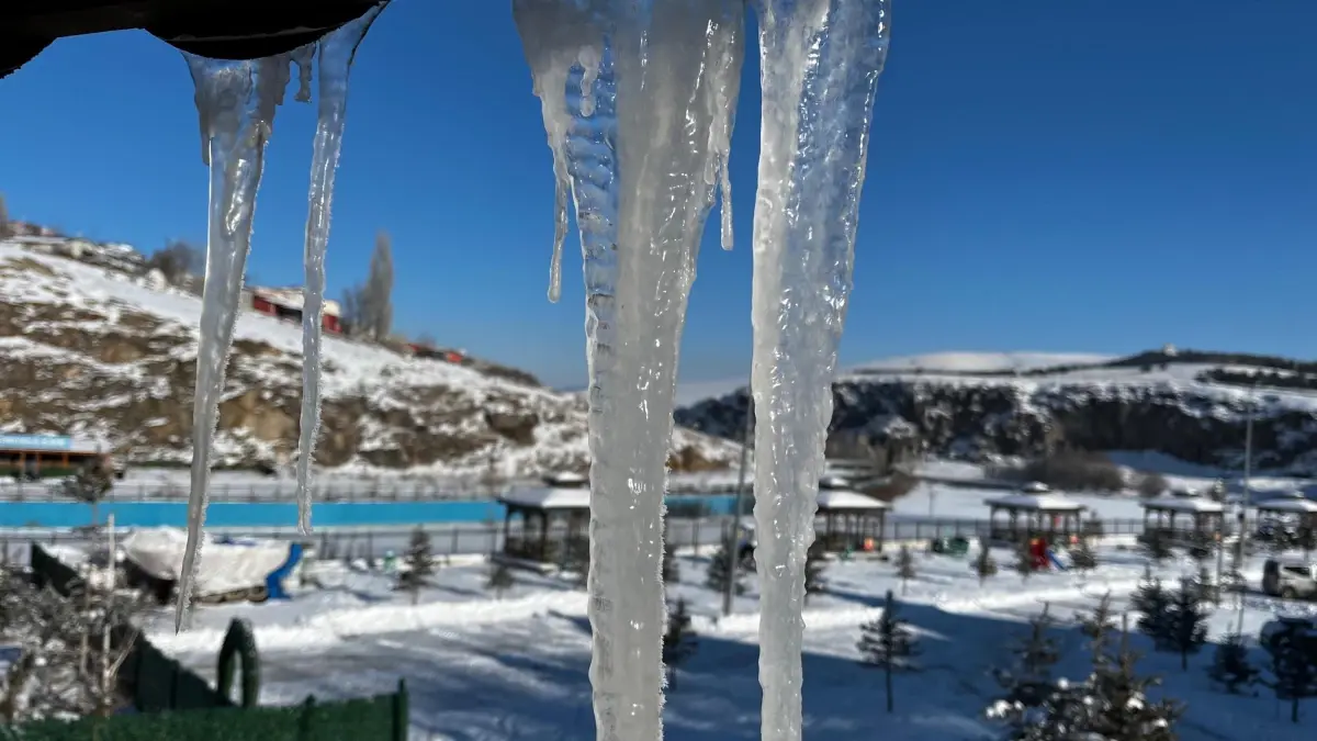 Ardahan\'da Dondurucu Soğuklar Hayatı Durdurdu