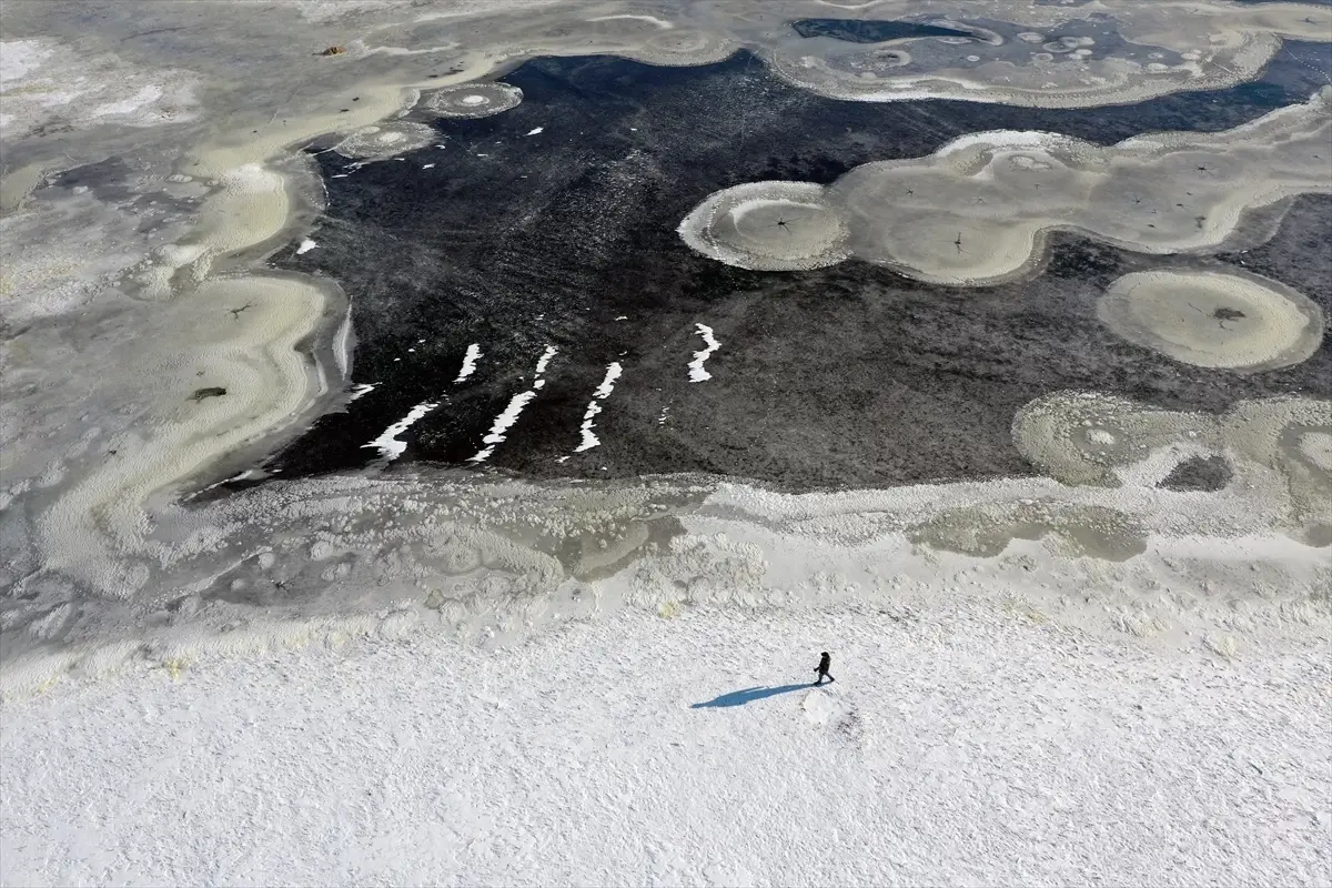 Iğdır\'da Sulak Alanlar Dondu
