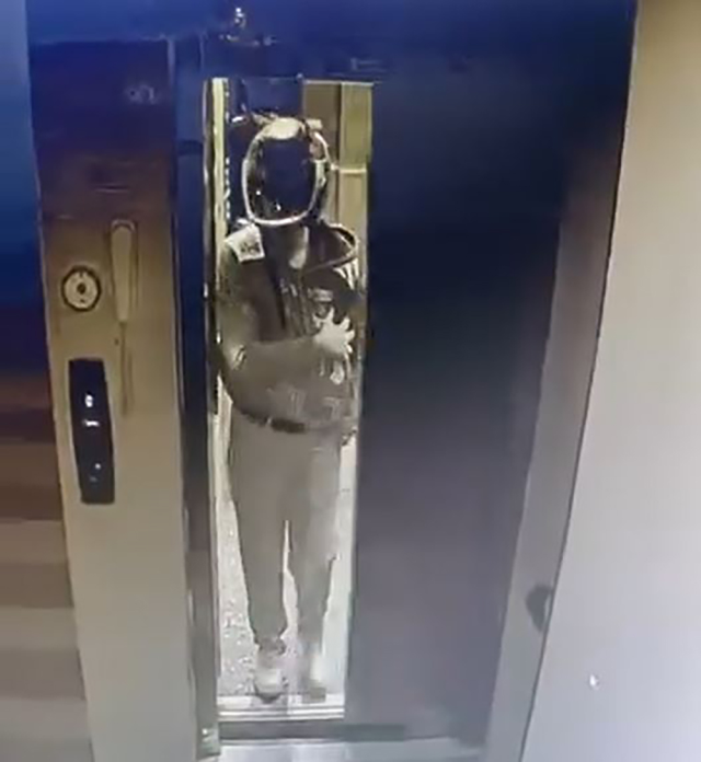 Kaskla apartmana giren şüpheli idrarını yapıp, damdaki kuşları çaldı